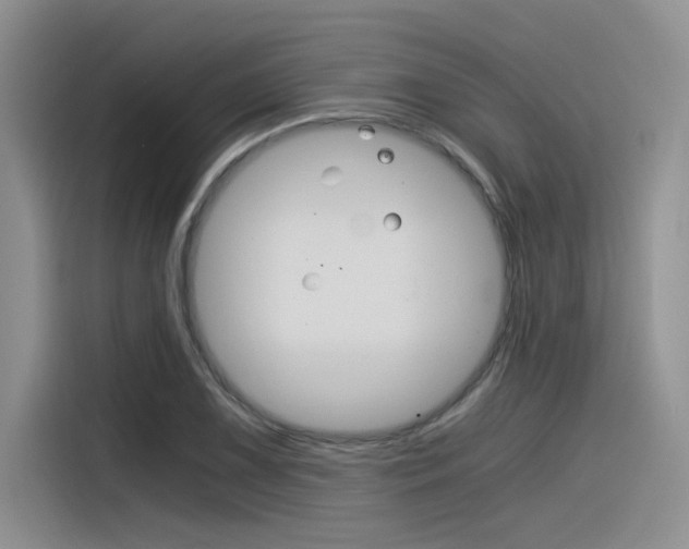 X0000116391075200912021001