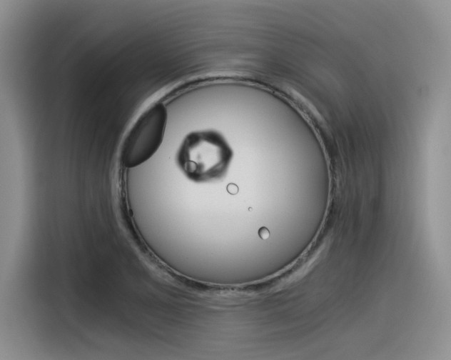X0000116391077200912021001