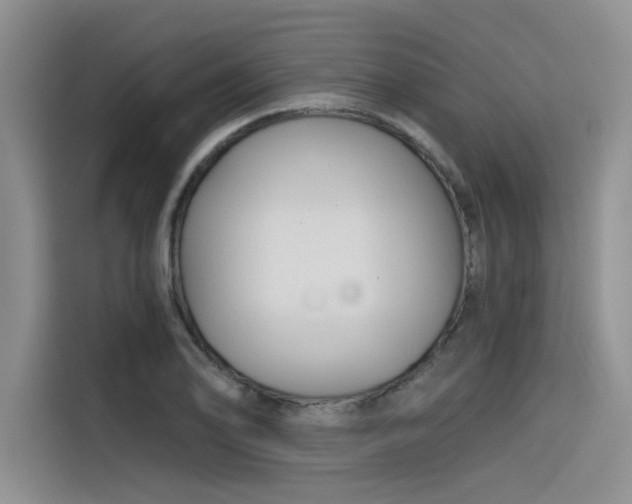 X0000116391078200912021001