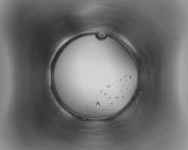 X0000116391079200912021001