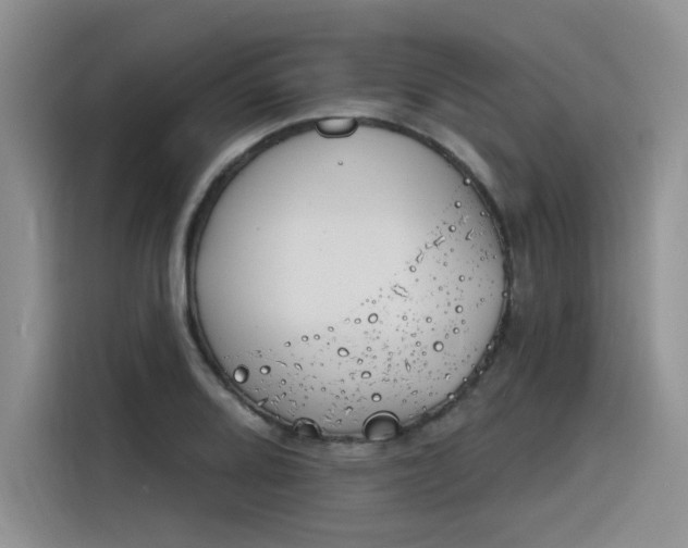 X0000116391080200912021001