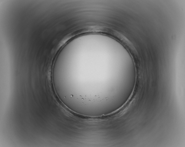 X0000116391081200912021001