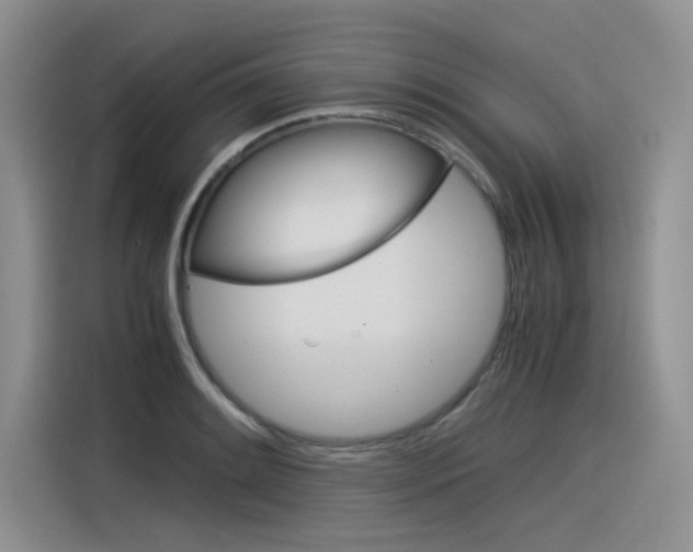 X0000116391084200912021001