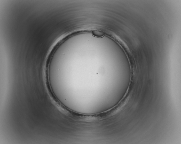 X0000116391085200912021001