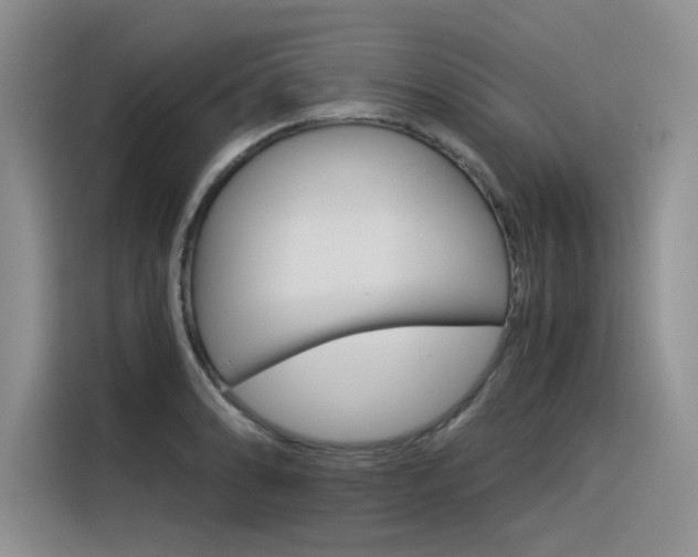 X0000116391086200912021001