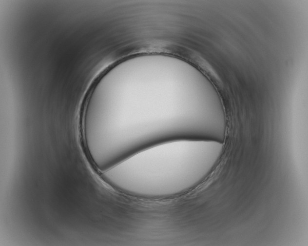 X0000116391087200912021001
