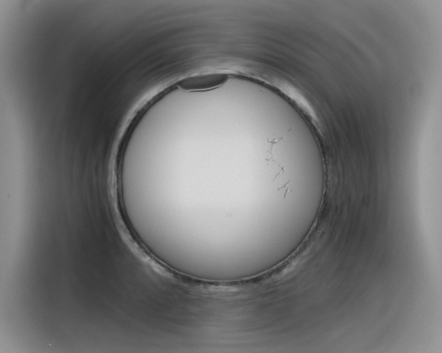 X0000116391088200912021001