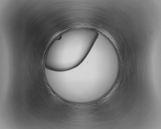 X0000116391089200912021001