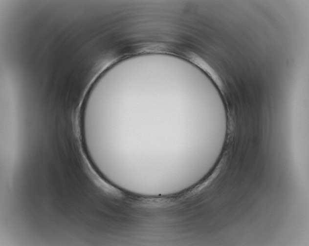 X0000116391090200912021001