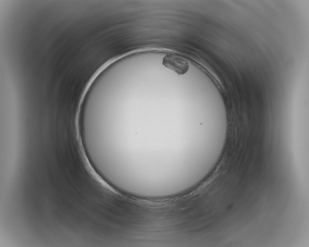 X0000116391092200912021001