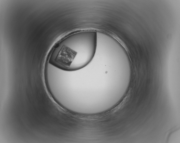 X0000116391093200912021001
