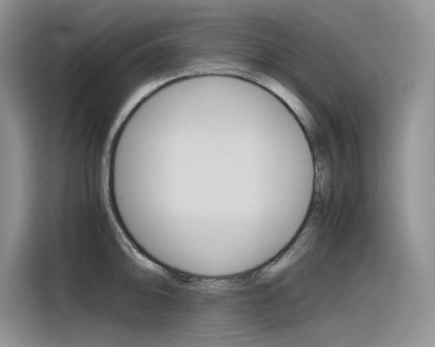 X0000116391094200912021001