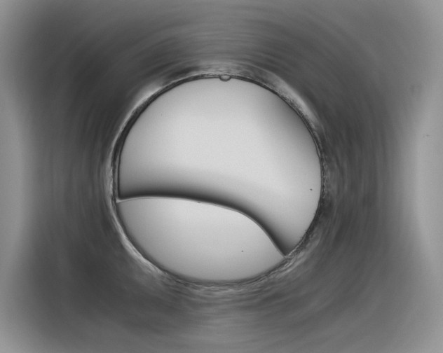 X0000116391095200912021001