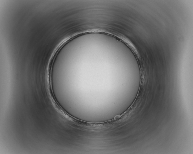 X0000116391096200912021001