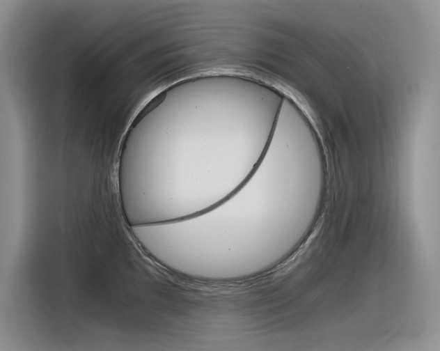 X0000116391097200912021001