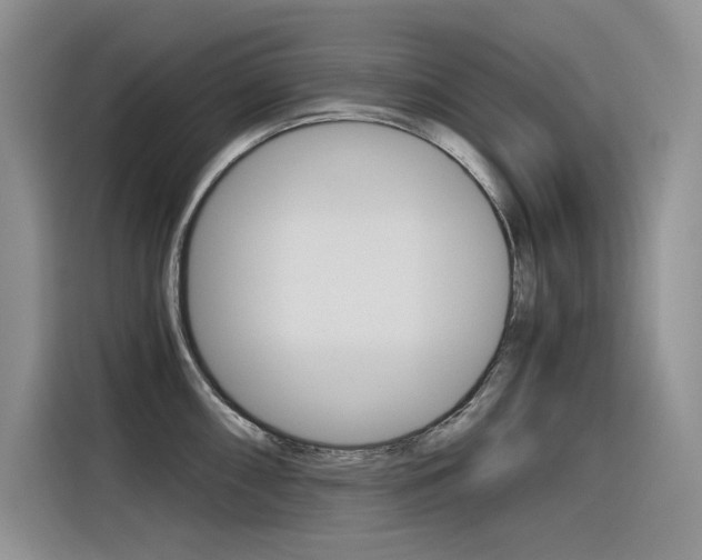X0000116391098200912021001