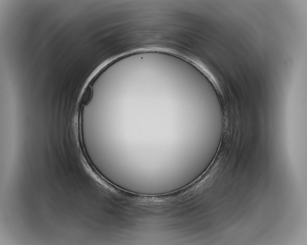 X0000116391100200912021001