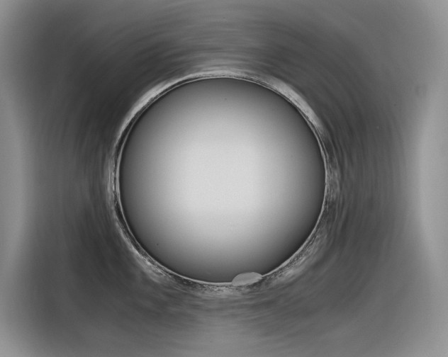 X0000116391101200912021001