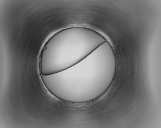 X0000116391102200912021001