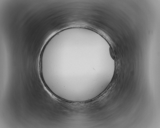 X0000116391103200912021001
