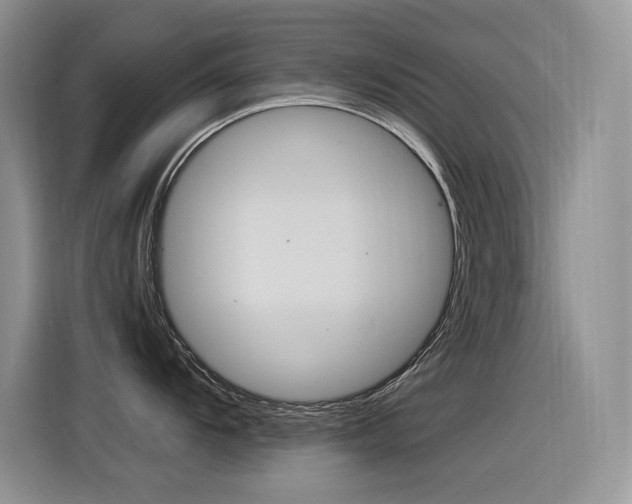 X0000116391104200912021001
