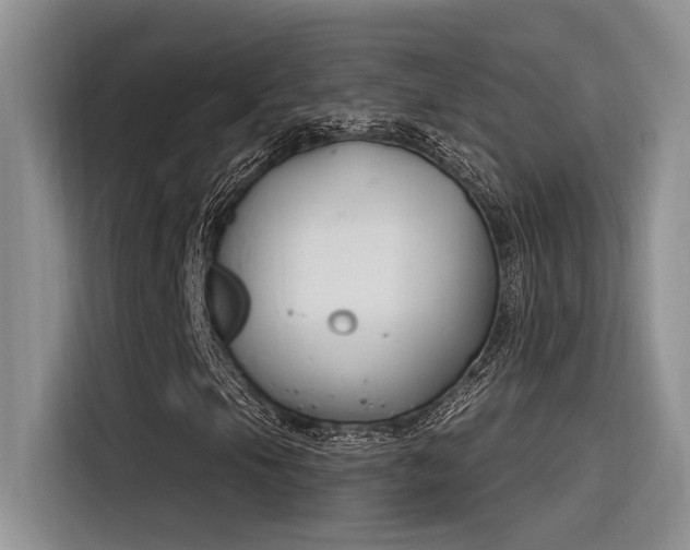 X0000116391105200912021000