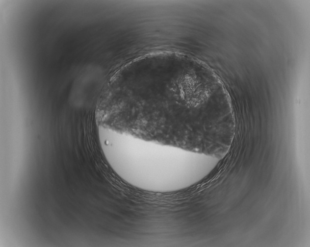 X0000116391106200912021000