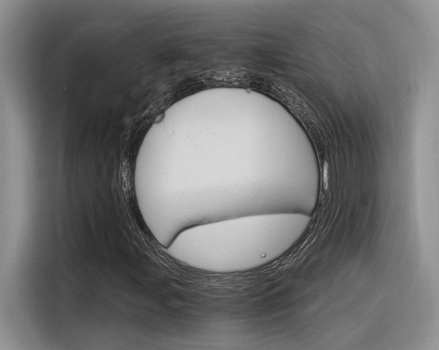 X0000116391107200912021000
