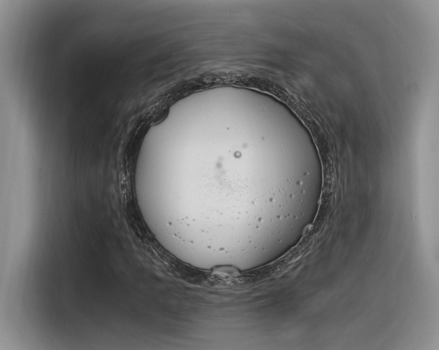 X0000116391109200912021000