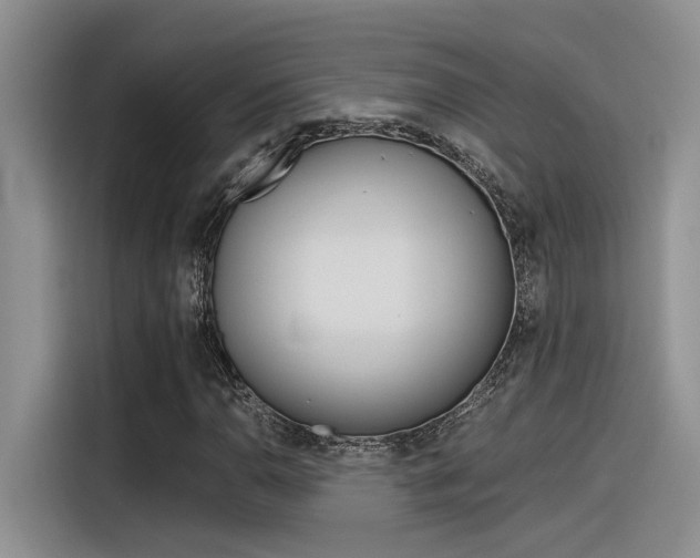 X0000116391110200912021000