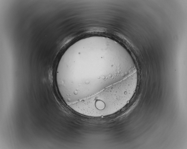 X0000116391113200912021000