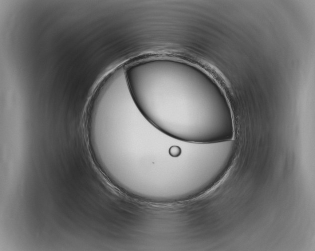X0000116391114200912021000