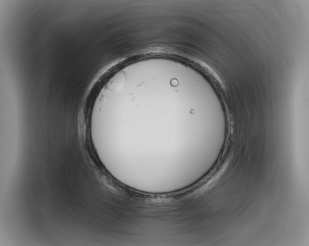 X0000116391117200912021000