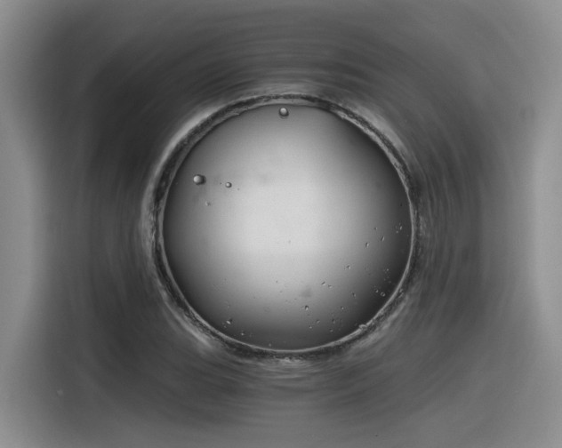 X0000116391119200912021000