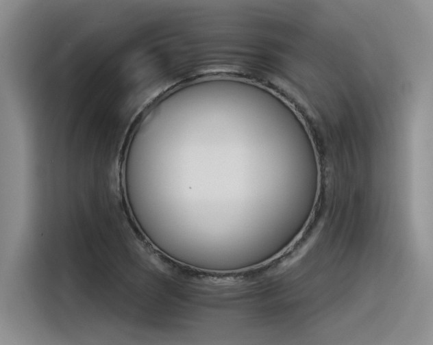X0000116391121200912021000