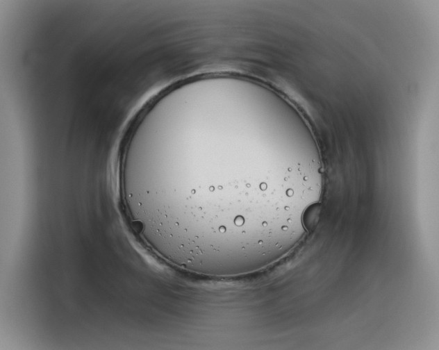 X0000116391127200912021000