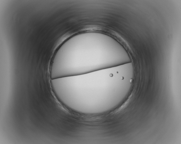 X0000116391129200912021000
