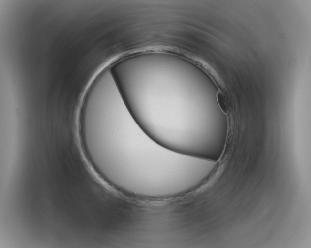 X0000116391134200912021000