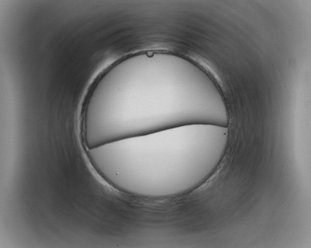 X0000116391135200912021000