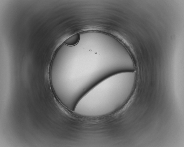 X0000116391137200912021001