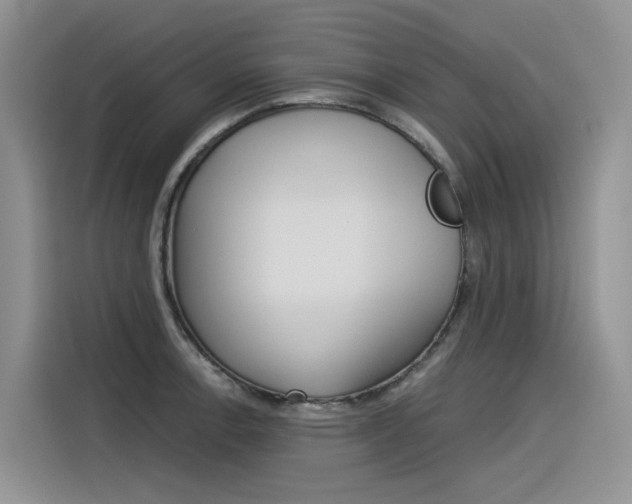 X0000116391138200912021001