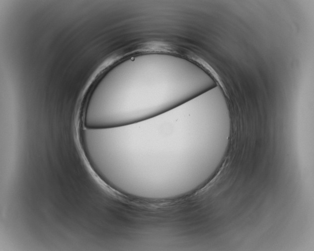 X0000116391139200912021001