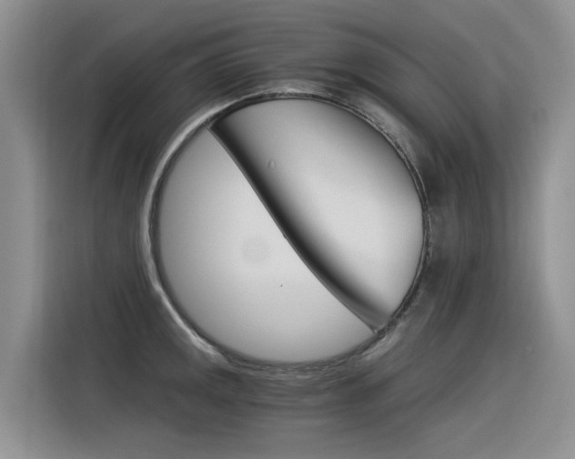 X0000116391141200912021001