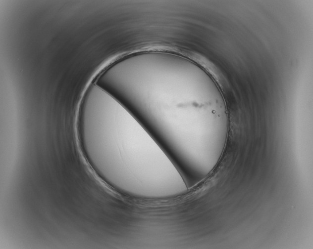 X0000116391142200912021001