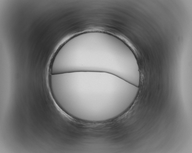 X0000116391143200912021001
