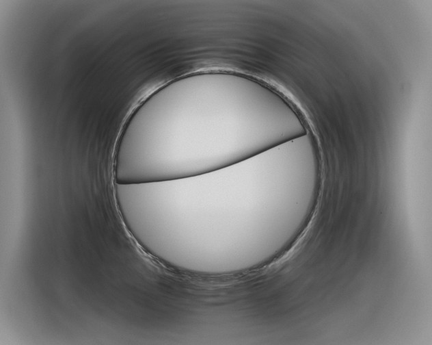 X0000116391145200912021001