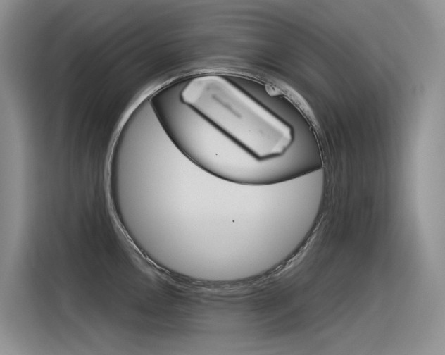 X0000116391146200912021001