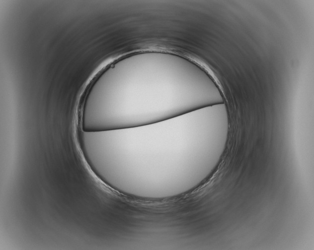 X0000116391147200912021001