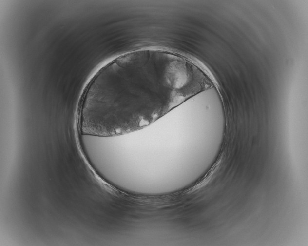 X0000116391149200912021001