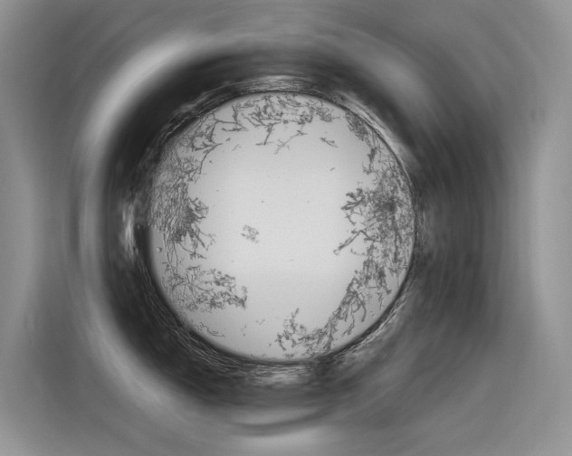 X0000116391150200912021001